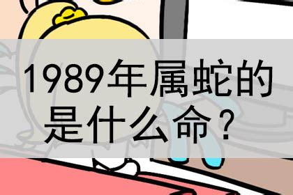 1989年是什么蛇